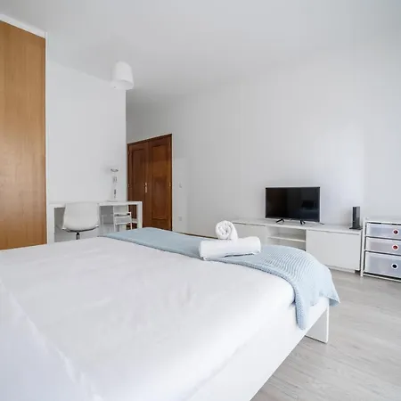 Apartamento Albano Belino, Ideal Para Familia E Grupos Брага